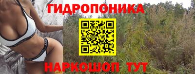 спиды Ливны