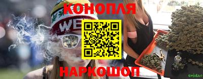 стаф Лесосибирск